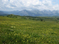 Von der Drina ins Durmitor (36)