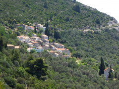 Maranovici (1)