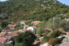 Prozura (2)