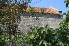 Prozura (3)