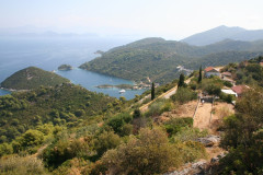 Prozura