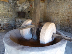 Korita Ölmühle  (3)
