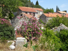 Korita  (2)