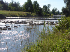 Mangfalltal