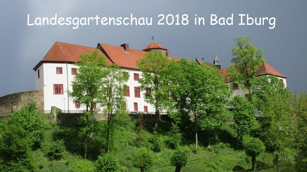 LGS Bad Iburg_01