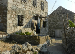 Korita