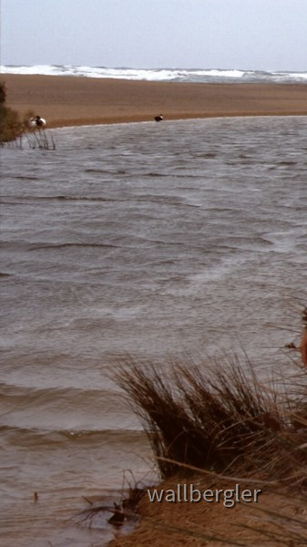 Albufera d`es Grau