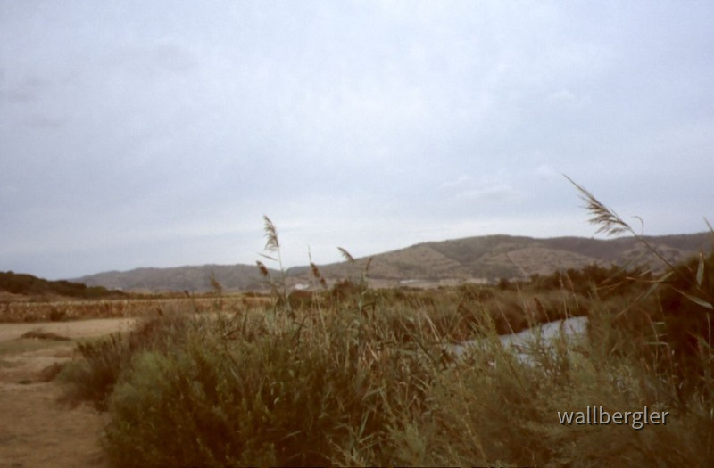 Vor Albufera