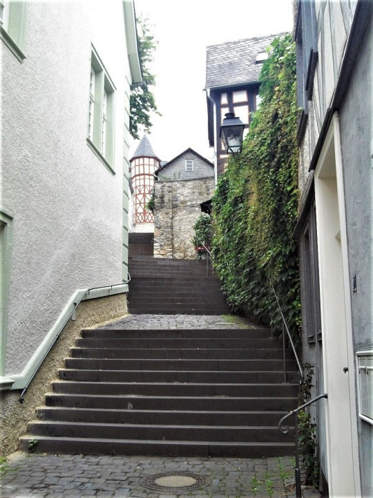 12 Limburg