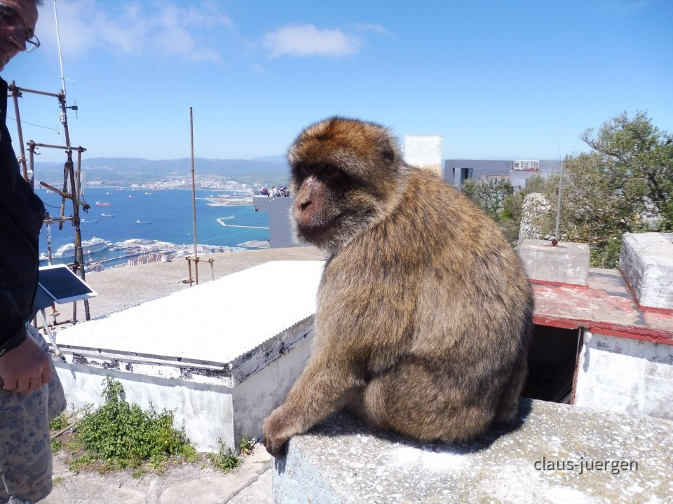 Gibraltar