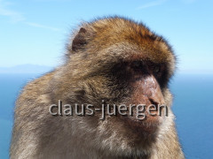 Gibraltar