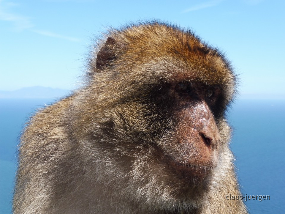 Gibraltar