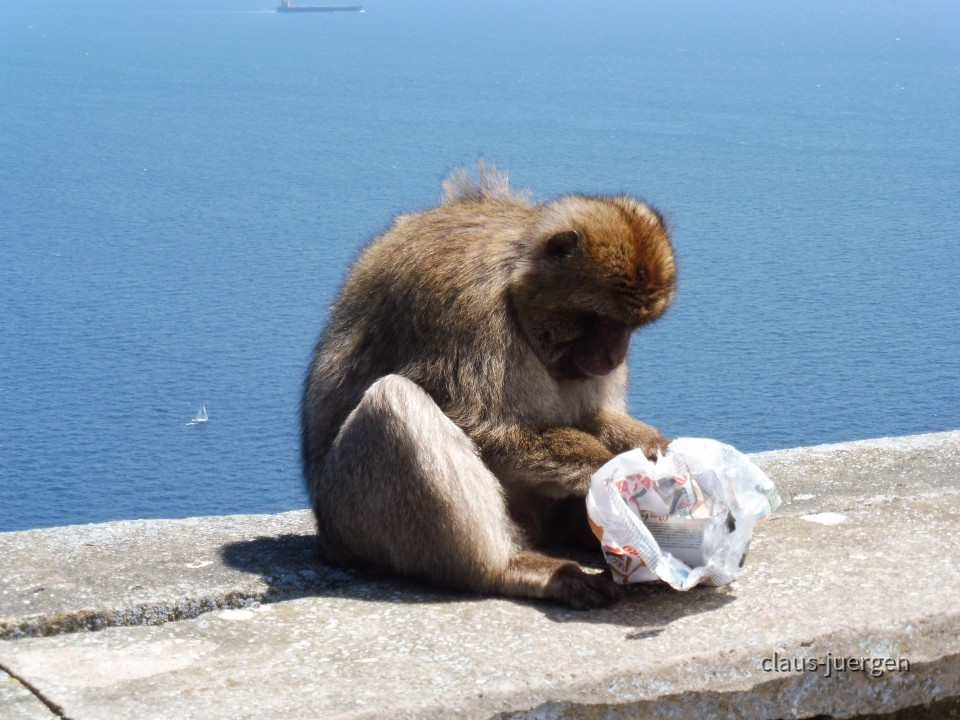 Gibraltar