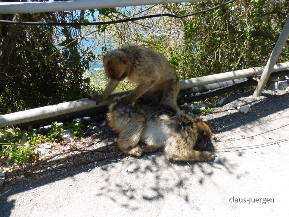 Gibraltar