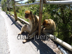 Gibraltar