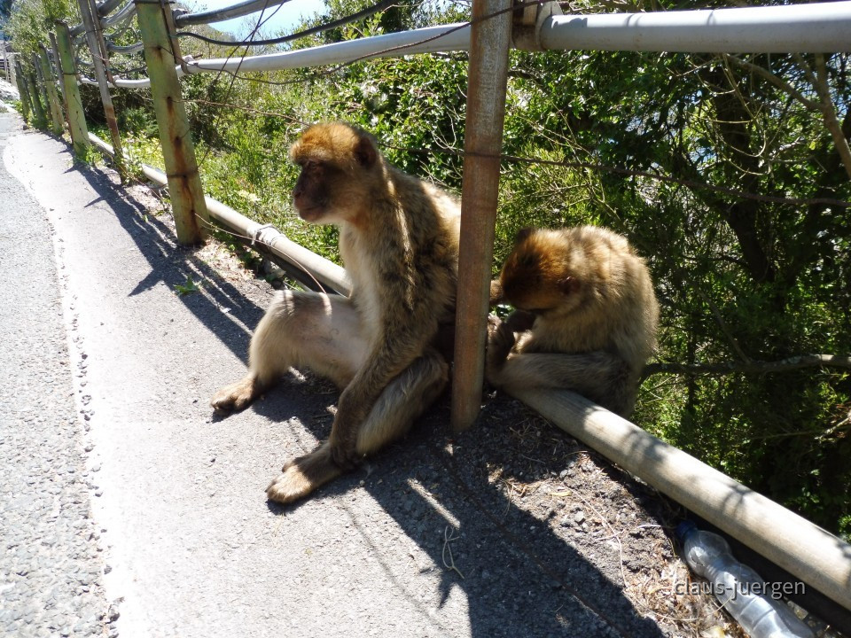 Gibraltar