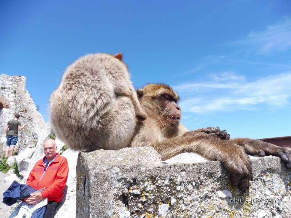 Gibraltar