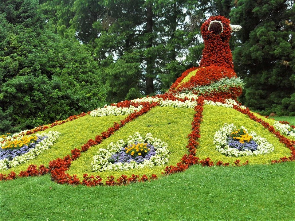 33 Mainau