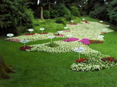 37 Mainau