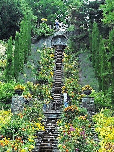 36 Mainau