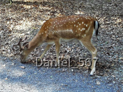 34 Bad  Kissingen