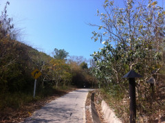 Koh Larn 1