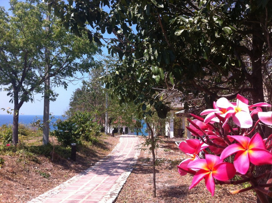 Koh Larn