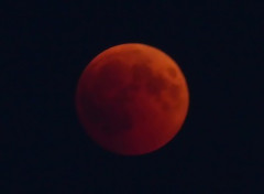 27.07.2018