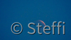 Mondfinsternis 3