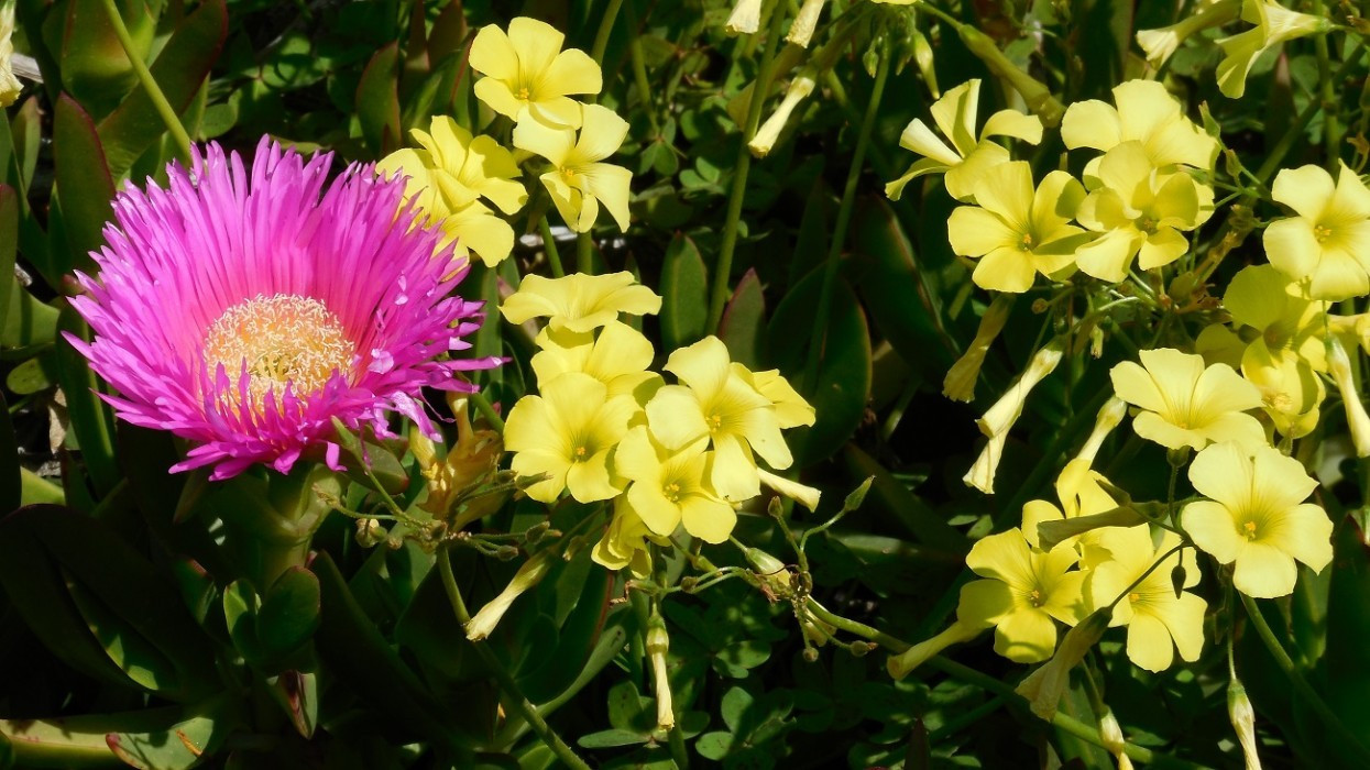 Frühling_015