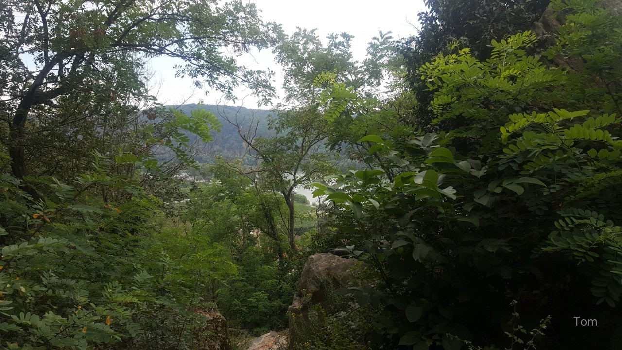Weg zur Ruine Dürnstein