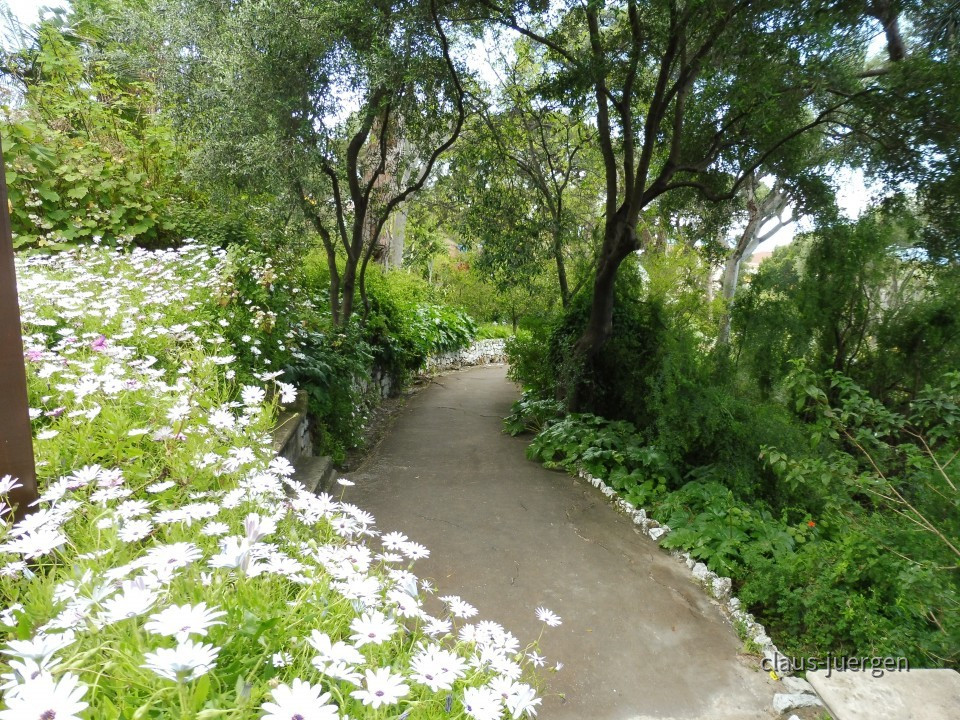 Gibraltar Botanischer Garten