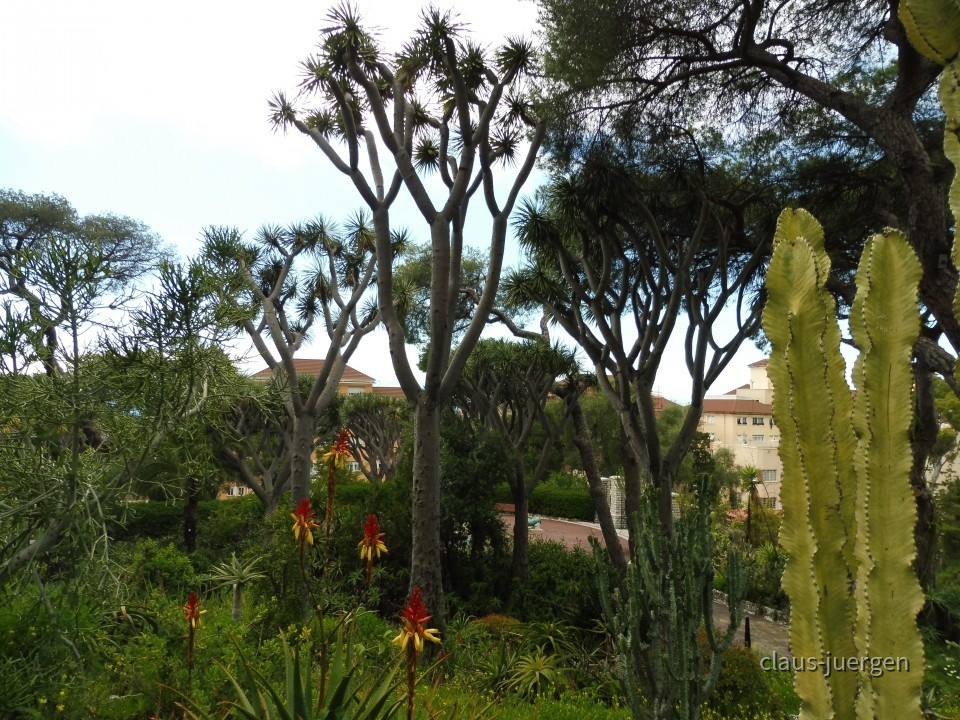 Gibraltar Botanischer Garten