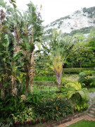 Gibraltar Botanischer Garten