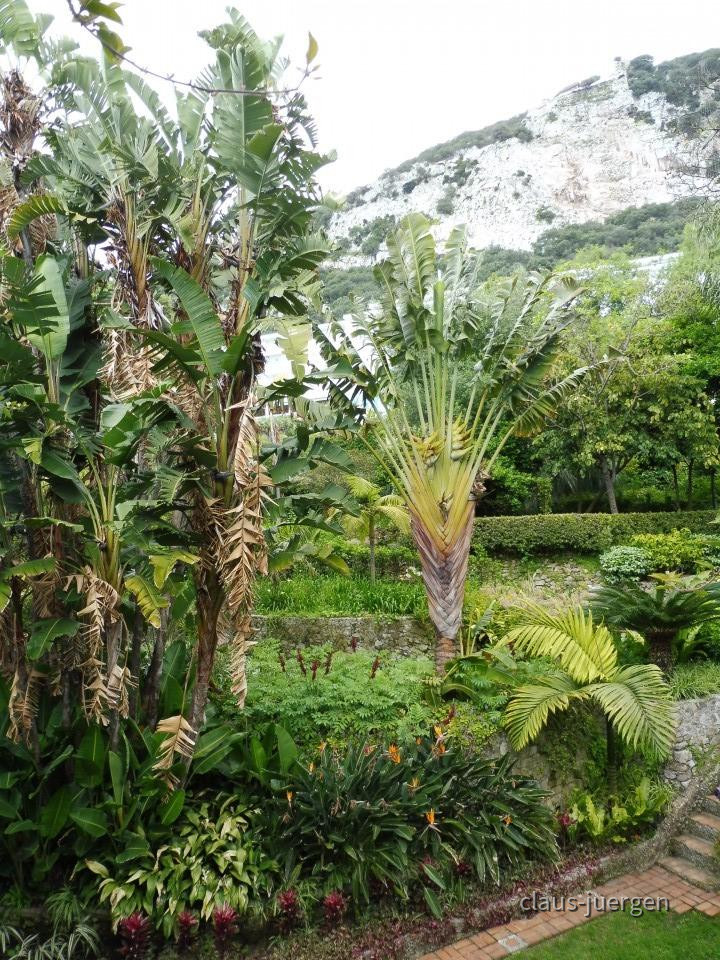 Gibraltar Botanischer Garten
