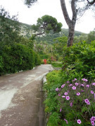 Gibraltar Botanischer Garten