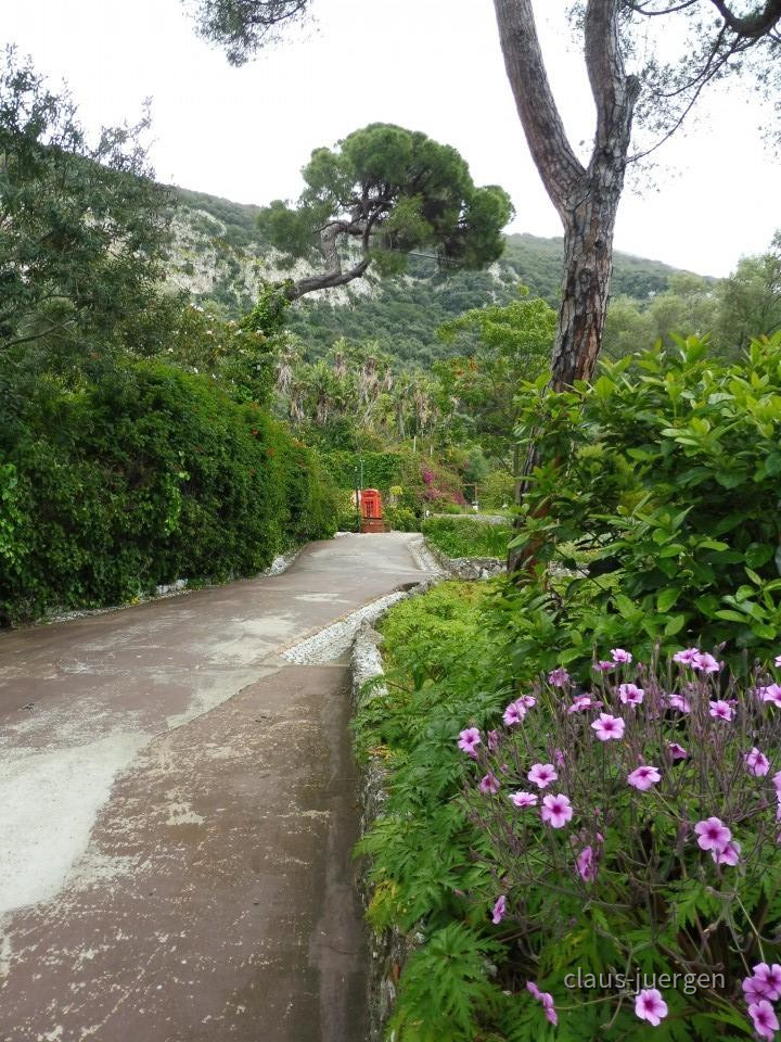 Gibraltar Botanischer Garten
