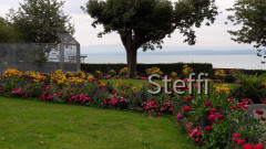 Meersburg  (10)