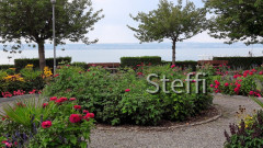Meersburg  (12)