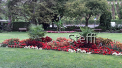 Meersburg  (5)