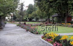 Meersburg  (2)