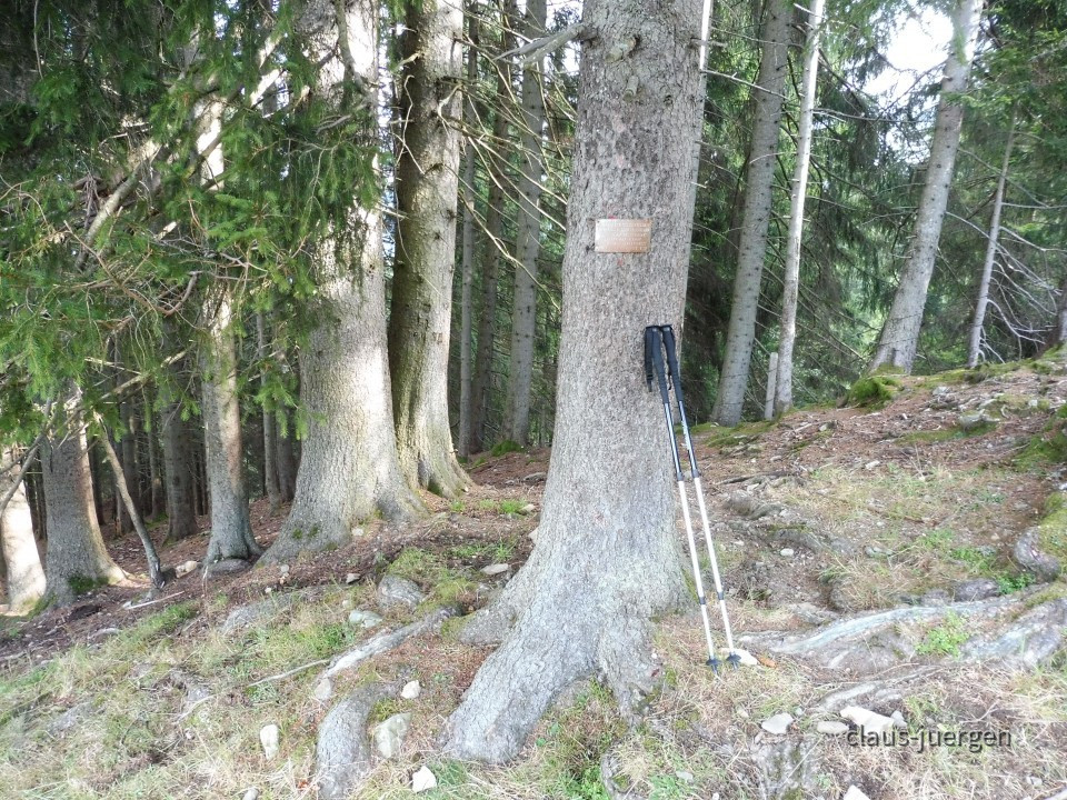 Sonnenkopf