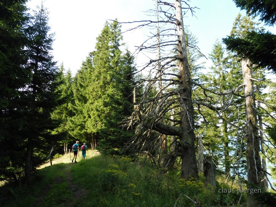 Sonnenkopf