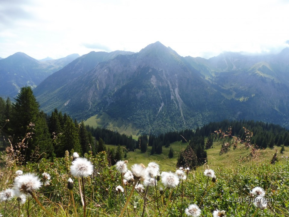 Sonnenkopf