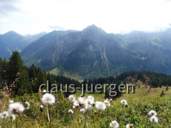 Sonnenkopf
