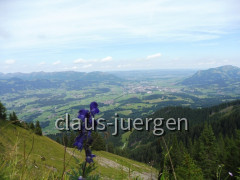 Sonnenkopf