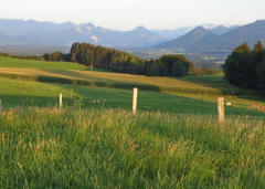 Am Irschenberg  (13)