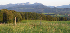 Am Irschenberg  (14)