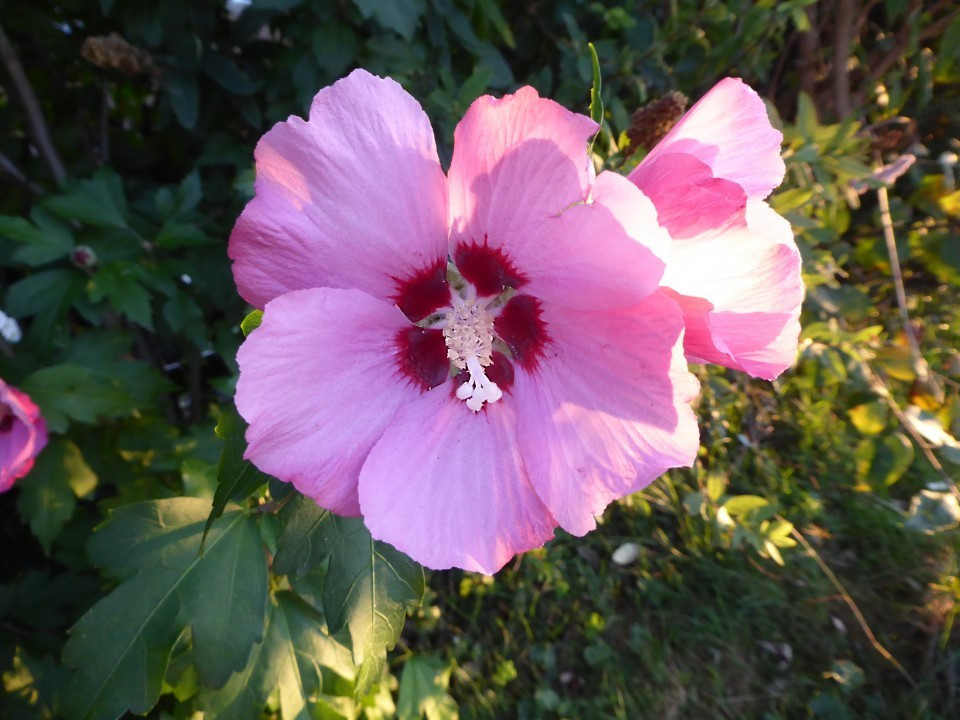 ?random=0&maxWidth=0&embedded=0#imageAnker_15849