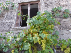 Am Irschenberg  (20)